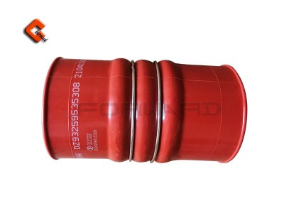 DZ93259535308,Fluorine tube and silicone tube,濟南向前汽車配件有限公司