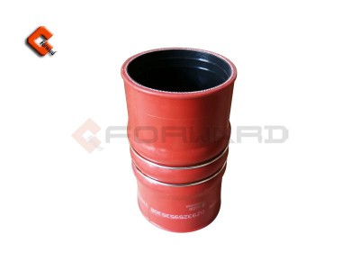 DZ93259535308,Fluorine tube and silicone tube,濟南向前汽車配件有限公司