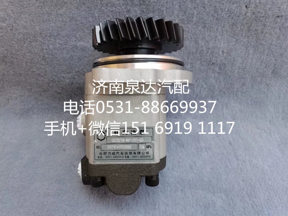 QC25/19-WP12N1-SD,轉(zhuǎn)向助力泵,濟南泉達汽配有限公司