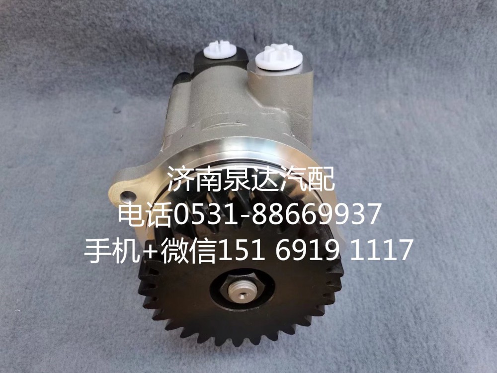 QC25/19-WP12N1-SD,轉(zhuǎn)向助力泵,濟南泉達汽配有限公司