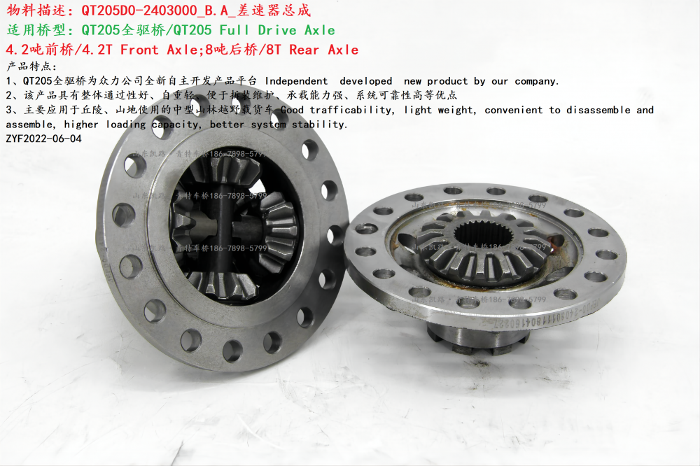 3-4  青特車橋QT205D0橋差速器總成QT205D0-2403011-12  4(1)