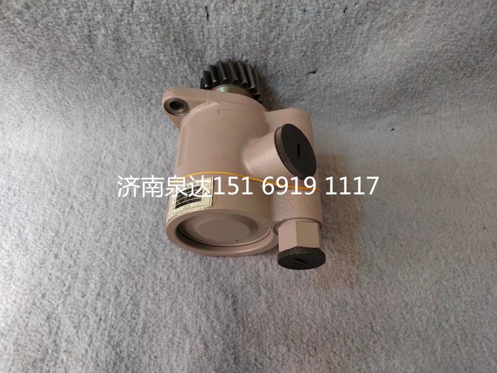 612600130149,轉(zhuǎn)向助力泵,濟南泉達(dá)汽配有限公司