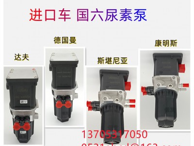 A060X234,達(dá)夫尿素泵進(jìn)口國六信發(fā),濟(jì)南信發(fā)汽車配件有限公司