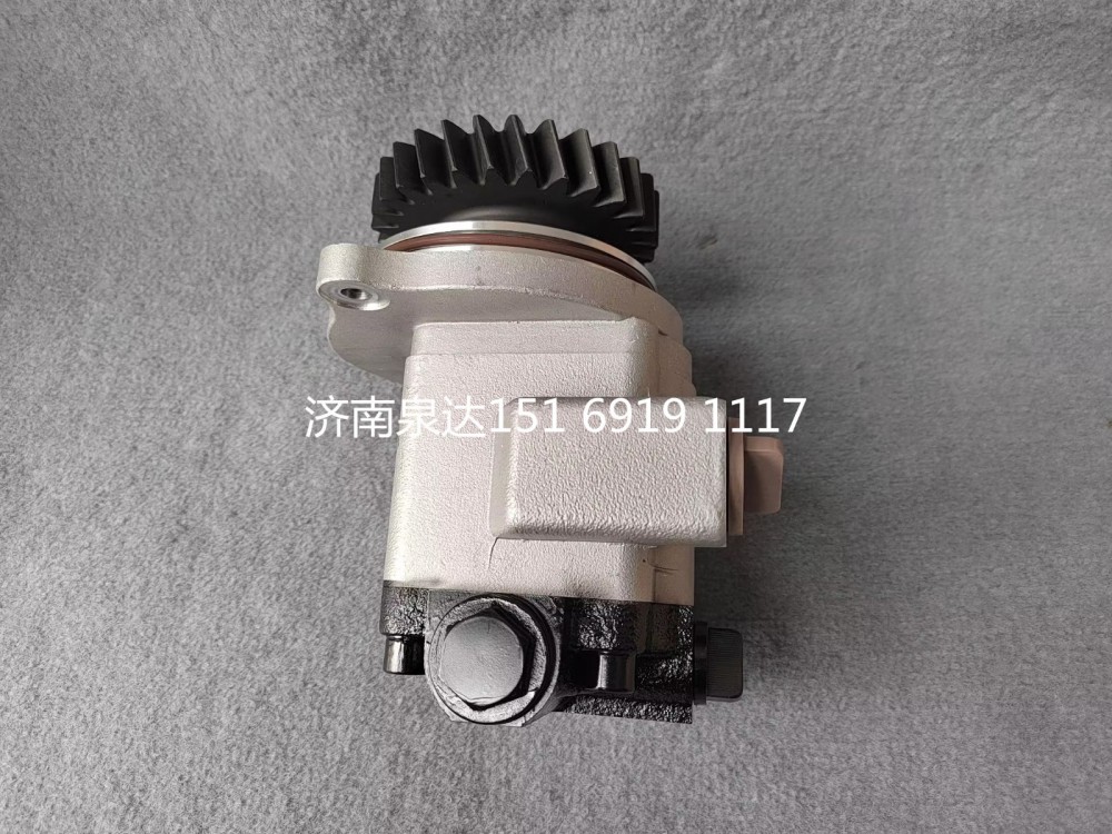 QC25/19-WP12N1-SD,轉(zhuǎn)向助力泵,濟南泉達汽配有限公司