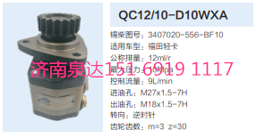 QC12/10-D10WXA,動(dòng)力轉(zhuǎn)向齒輪泵,濟(jì)南泉達(dá)汽配有限公司