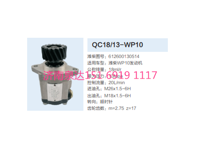 QC18/13-WP10,動(dòng)力轉(zhuǎn)向齒輪泵,濟(jì)南泉達(dá)汽配有限公司