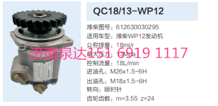 QC18/13-WP12,動(dòng)力轉(zhuǎn)向齒輪泵,濟(jì)南泉達(dá)汽配有限公司