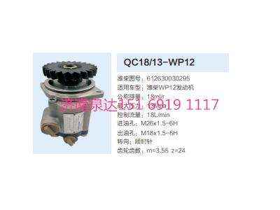 QC18/13-WP12,動(dòng)力轉(zhuǎn)向齒輪泵,濟(jì)南泉達(dá)汽配有限公司