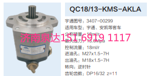 QC18/13-A3008,動(dòng)力轉(zhuǎn)向齒輪泵,濟(jì)南泉達(dá)汽配有限公司