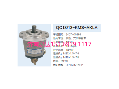 QC18/13-A3008,動(dòng)力轉(zhuǎn)向齒輪泵,濟(jì)南泉達(dá)汽配有限公司