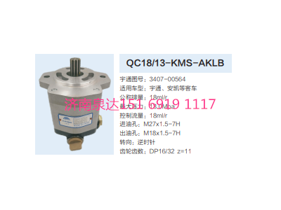 QC18/13-KMS-AKLB,動力轉(zhuǎn)向齒輪泵,濟南泉達汽配有限公司