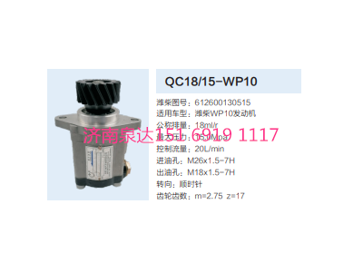 QC18/15-WP10,動力轉向齒輪泵,濟南泉達汽配有限公司