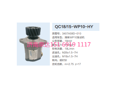 QC18/15-WP10-HY,動(dòng)力轉(zhuǎn)向齒輪泵,濟(jì)南泉達(dá)汽配有限公司