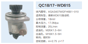 XGA3407WGFH6B1-010,動力轉(zhuǎn)向齒輪泵,濟南泉達汽配有限公司