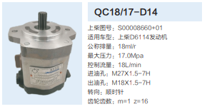 QC18/17-D14,動(dòng)力轉(zhuǎn)向齒輪泵,濟(jì)南泉達(dá)汽配有限公司