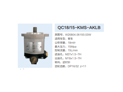 QC18/15-KMS-AKLB,動(dòng)力轉(zhuǎn)向齒輪泵,濟(jì)南泉達(dá)汽配有限公司