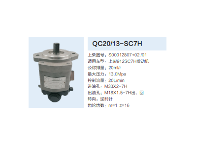 QC20/13-SC7H,動(dòng)力轉(zhuǎn)向齒輪泵,濟(jì)南泉達(dá)汽配有限公司