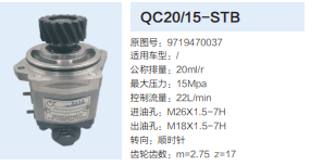 QC20/15-STB,動力轉(zhuǎn)向齒輪泵,濟(jì)南泉達(dá)汽配有限公司