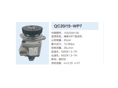 QC20/15-WP7,動(dòng)力轉(zhuǎn)向齒輪泵,濟(jì)南泉達(dá)汽配有限公司