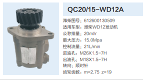 QC20/15-WD12A,齒輪泵,濟南泉達汽配有限公司