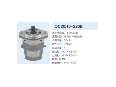 QC20/16-226B,齒輪泵,濟南泉達汽配有限公司