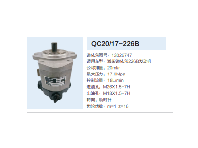 QC20/17-226B,齒輪泵,濟(jì)南泉達(dá)汽配有限公司