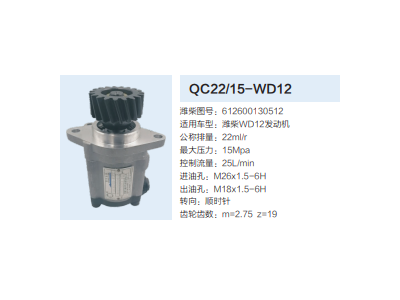 QC22/15-WD12,齒輪泵,濟(jì)南泉達(dá)汽配有限公司