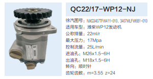 3407WLFW6B1-010,轉(zhuǎn)向助力泵,濟(jì)南泉達(dá)汽配有限公司