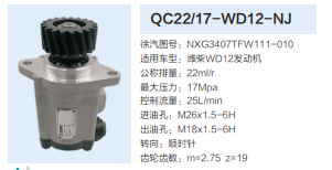 NXG3407TFW111-010,轉(zhuǎn)向助力泵,濟(jì)南泉達(dá)汽配有限公司