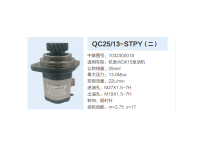 QC25/13-STPY,轉(zhuǎn)向助力泵,濟(jì)南泉達(dá)汽配有限公司