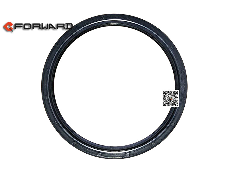 DZ91259520506,Shaft seal ring (balance shaft),濟(jì)南向前汽車(chē)配件有限公司