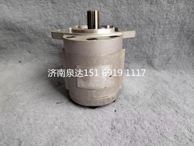 QC25/16-D14,齒輪泵,濟(jì)南泉達(dá)汽配有限公司