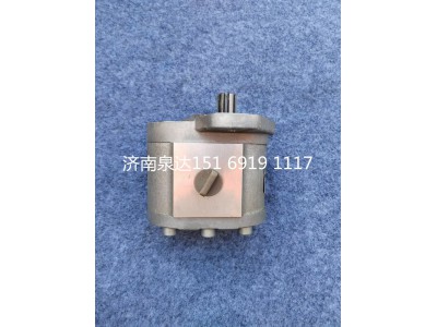 QC25/16-226B,轉(zhuǎn)向助力泵,濟(jì)南泉達(dá)汽配有限公司