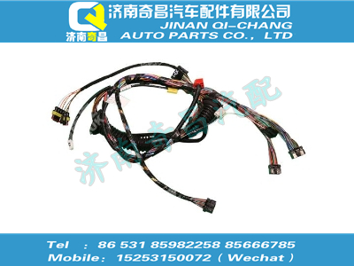 712-25455-6010,SITRAK配件C5G左門控線束,濟(jì)南奇昌汽車配件有限公司