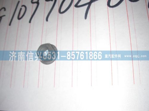 VG1099040010,帶肩螺母（噴油器壓板螺母）,濟南信興汽車配件貿(mào)易有限公司