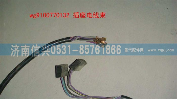 WG9100770132,插座電線束,濟南信興汽車配件貿易有限公司