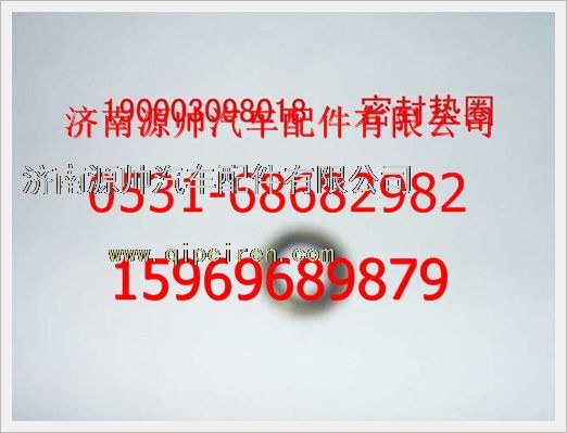 190003098018,重汽豪沃密封墊圈190003098018,濟南源帥汽車配件有限公司