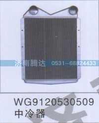 WG9120530509,WG9120530509中冷器,濟南錦陽汽配有限公司（原騰達）