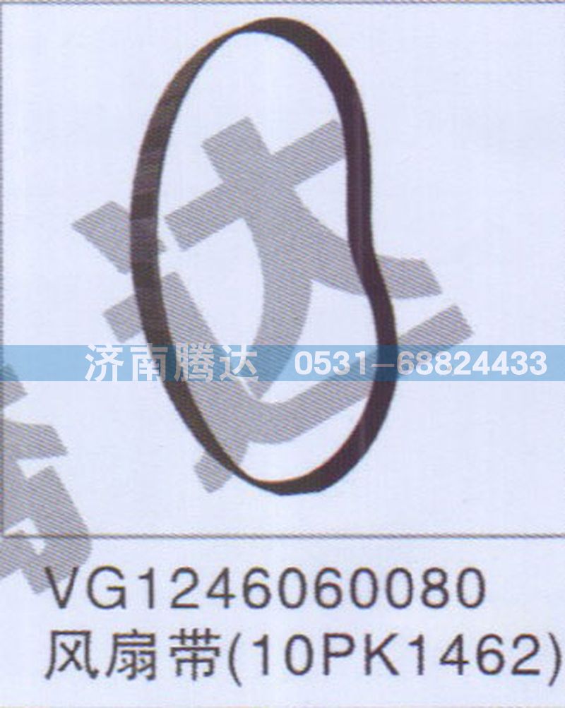 VG1246060080,VG1246060080風(fēng)扇帶10PK1462,濟(jì)南錦陽(yáng)汽配有限公司（原騰達(dá)）