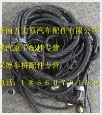 陜汽德龍M3000底盤線束