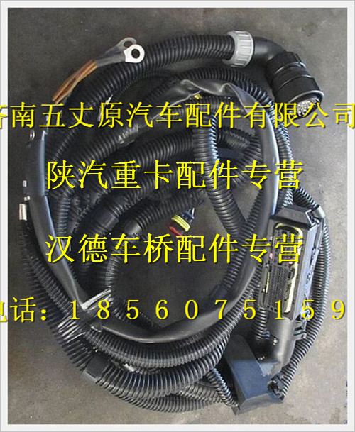 陜汽德龍發(fā)動機(jī)底盤電線束/DZ93189774565