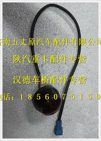 陜汽德龍后示廓燈總成