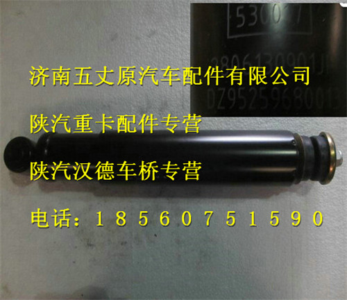 陜汽德龍F(tuán)3000減振器總成/DZ95259680013