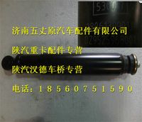 陜汽德龍F(tuán)3000減振器總成