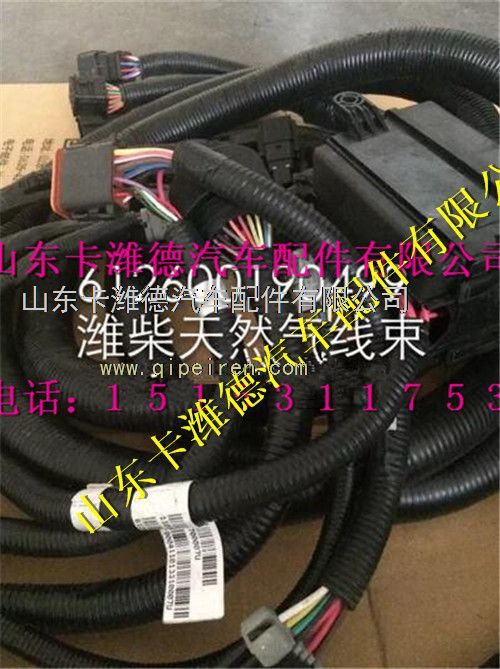 612600190499,濰柴WP10CNG天然氣發(fā)動(dòng)機(jī)配件ECU線束,山東卡濰德汽車配件有限公司