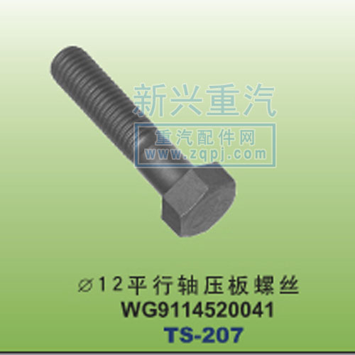 WG9114520041,￠12平行軸壓板螺絲,晉江新興螺絲有限公司